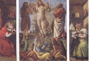 Sandro Botticelli Transfiguration,with St Jerome(at left) and St Augustine(at right) oil painting artist